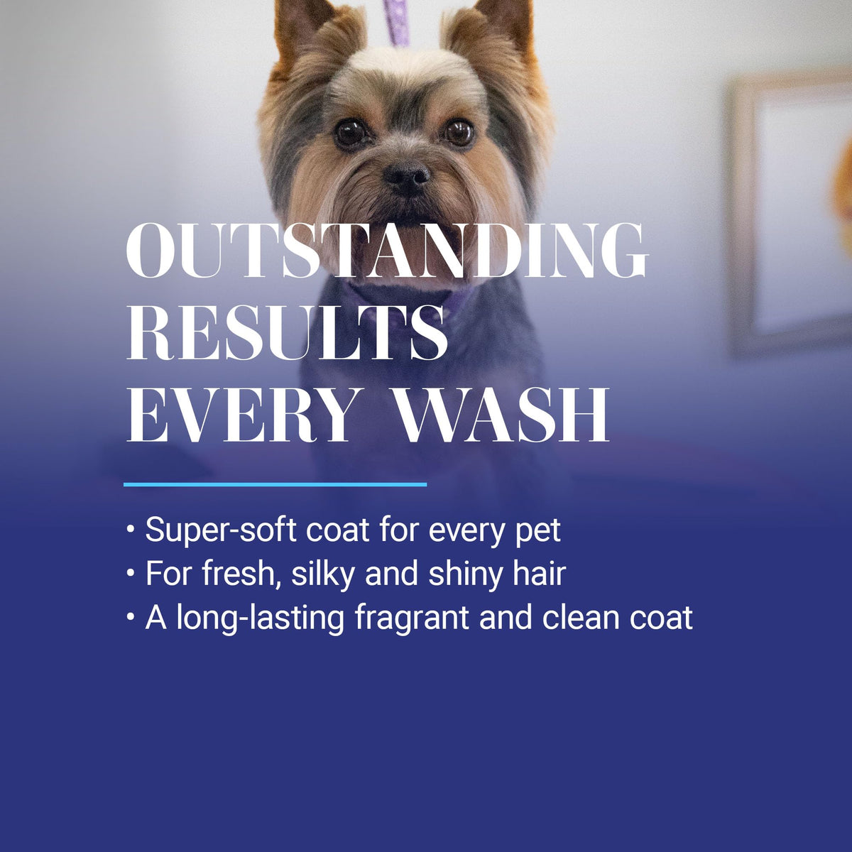 Hydrating Chamomile Ultra Concentrated Dog Shampoo 1 Gal Q409845