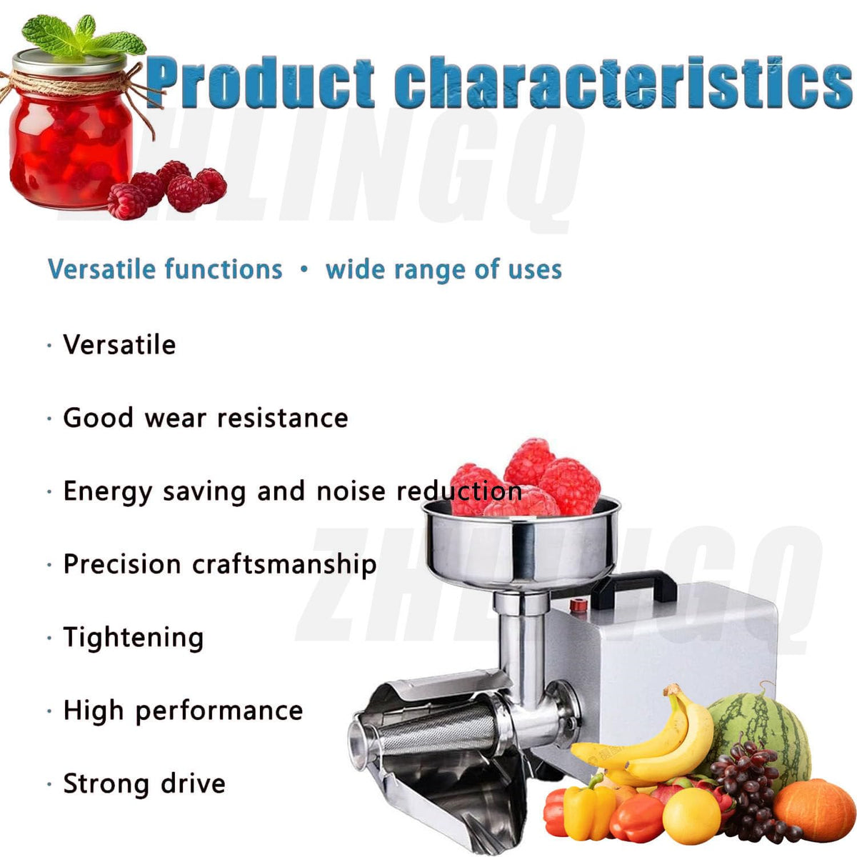 450W Stainless Steel Electric Tomato Strainer W9156