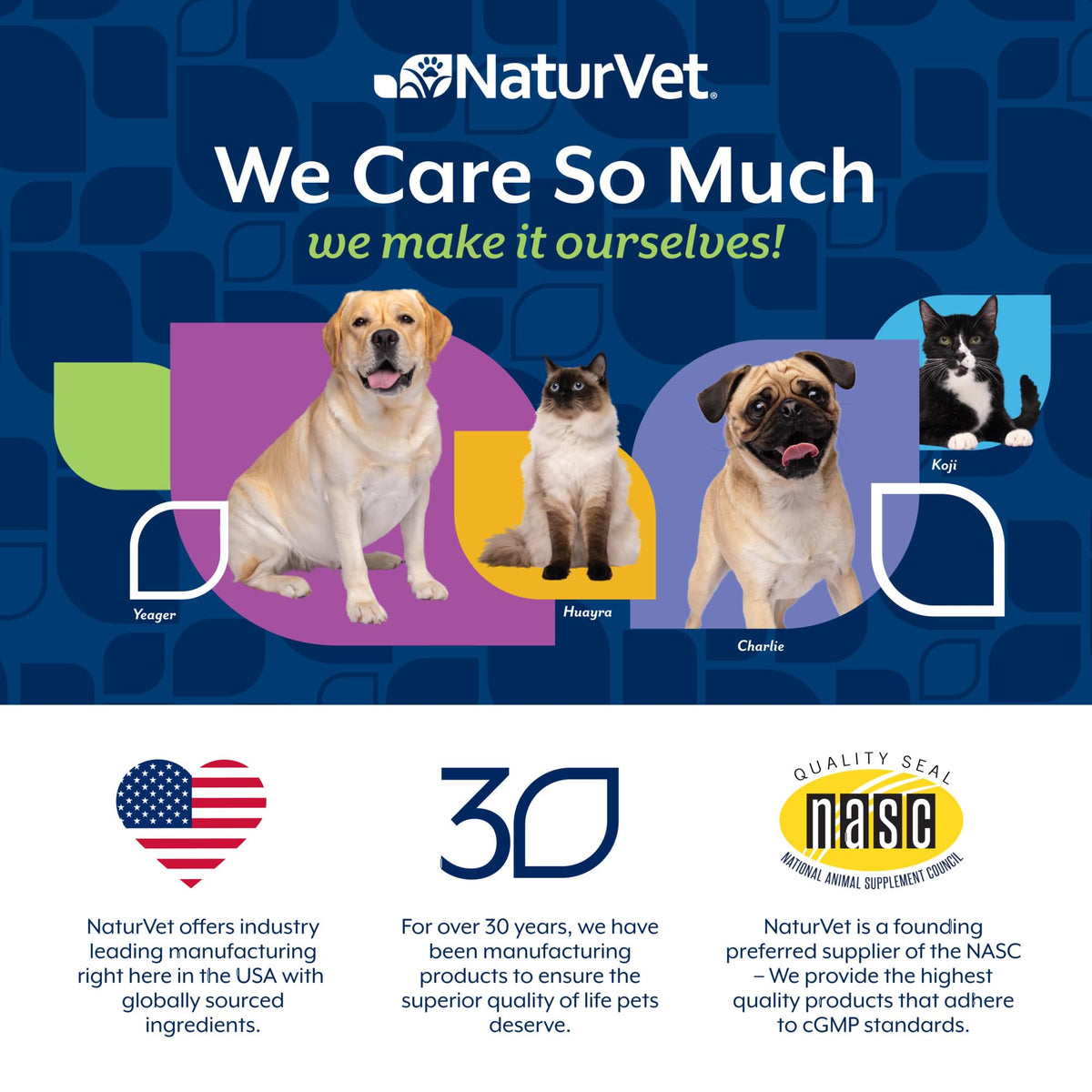 Hairball Aid Supplement for Cats Soft Chews D271