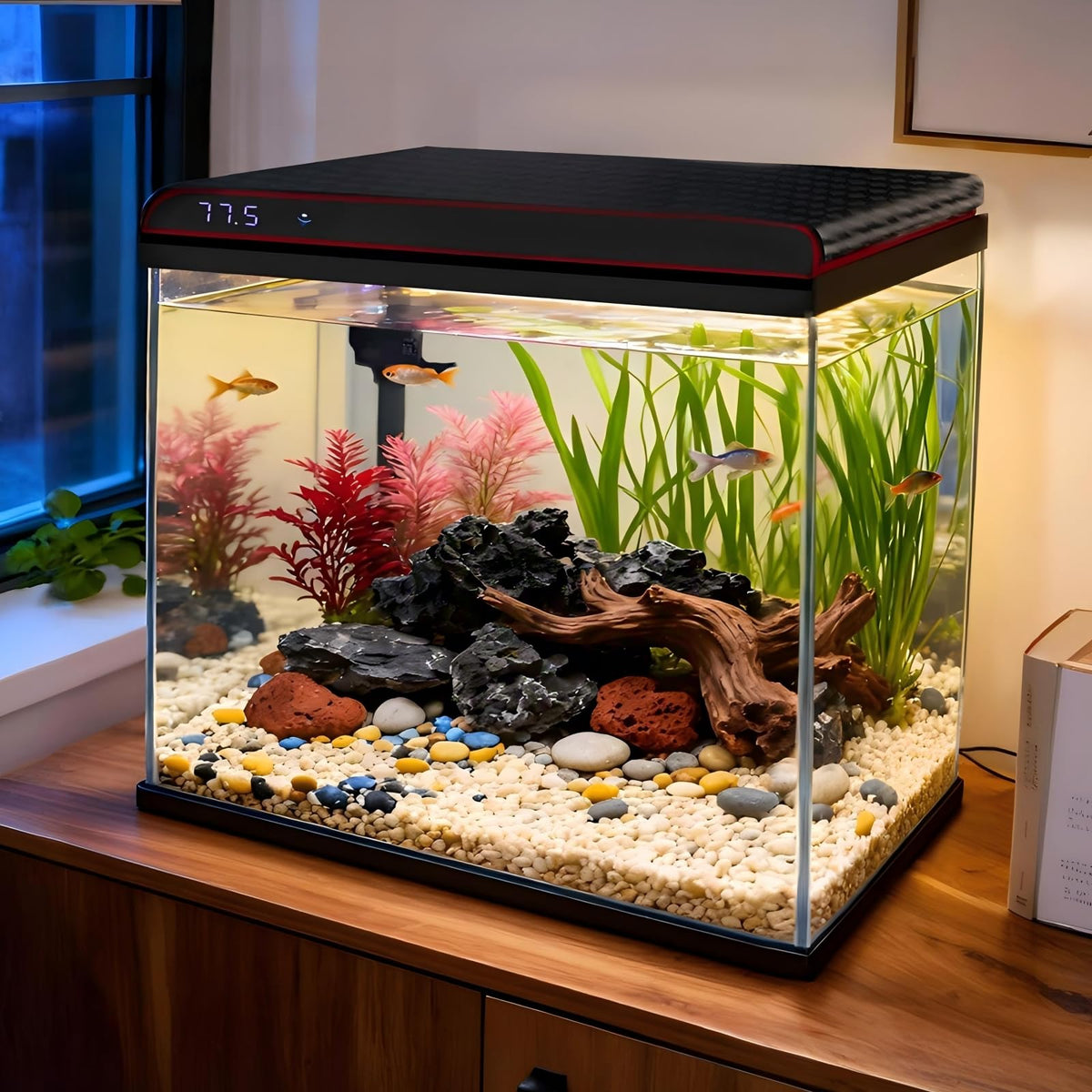 10 Gallon Glass Fish Tank Aquarium Starter Kit S32318