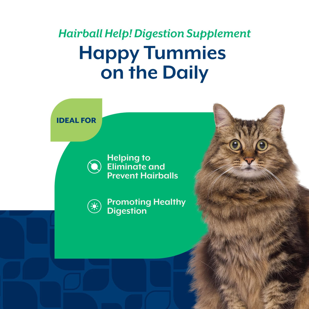 Hairball Aid Supplement for Cats Soft Chews D271