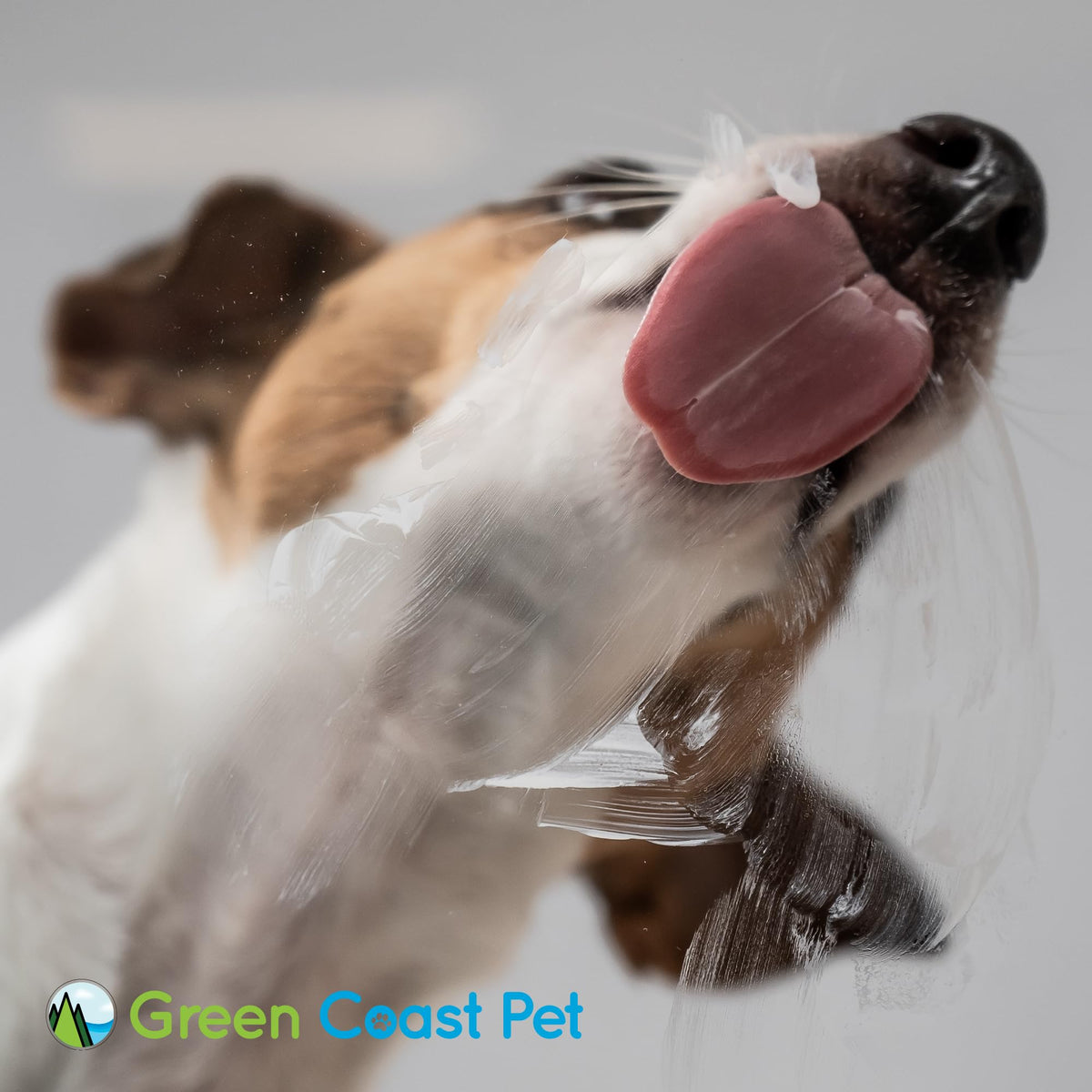 Bacon Flavor Dog Pill Wrap H370914
