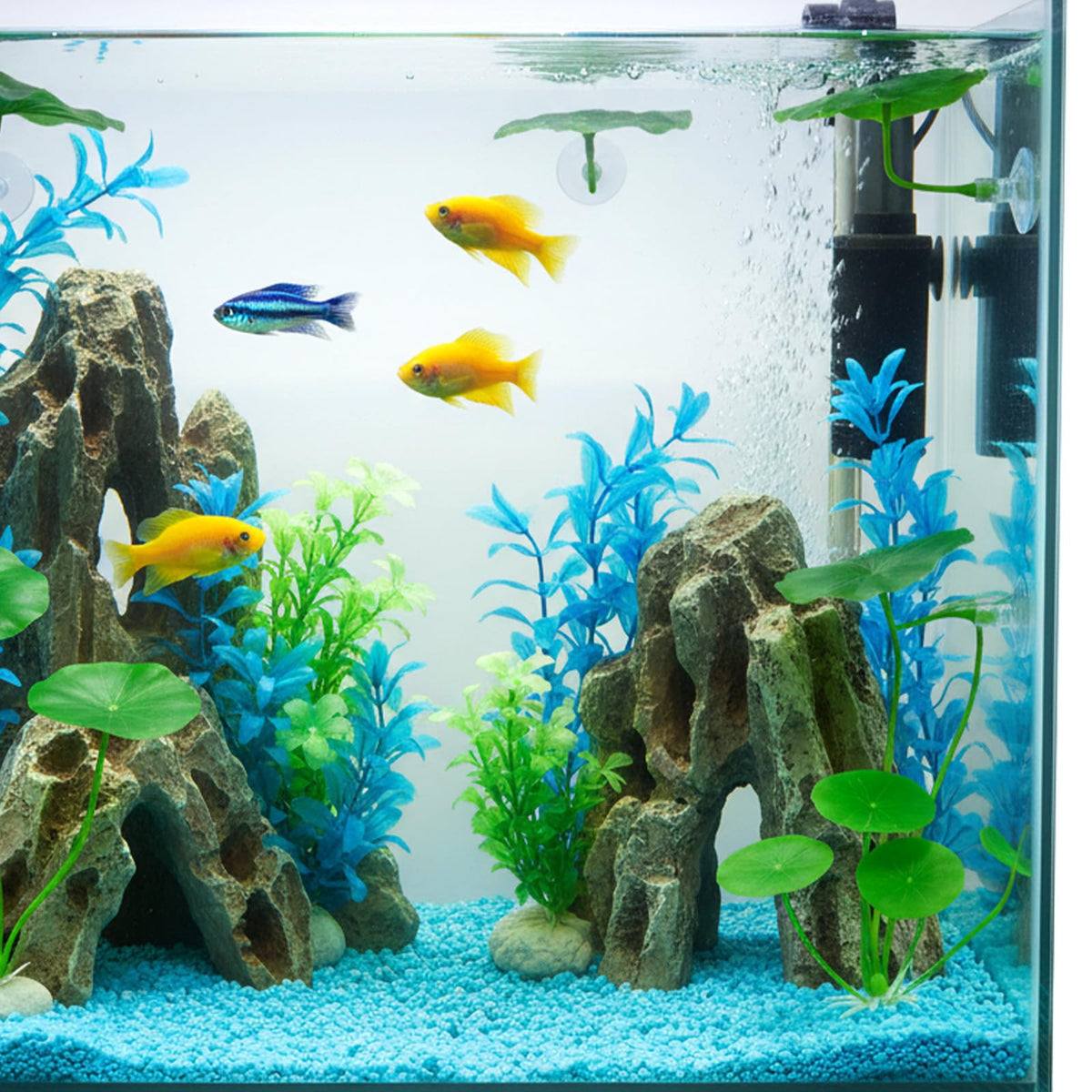 Betta Fish Leaf Hammock Suction Cup Aquarium Decor V738