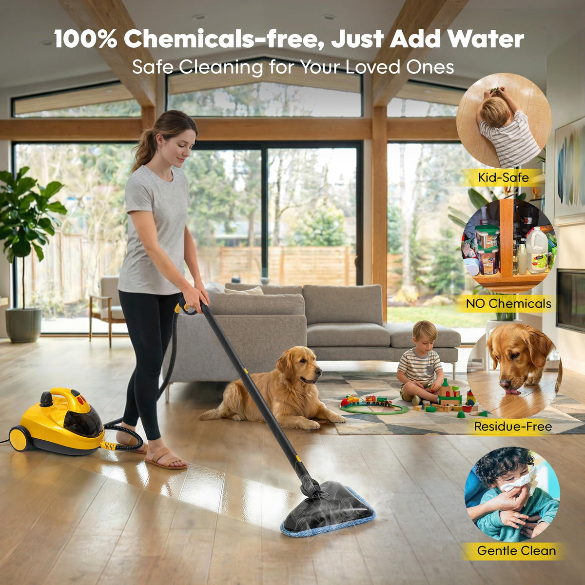 Heavy-Duty Steam Cleaner L275