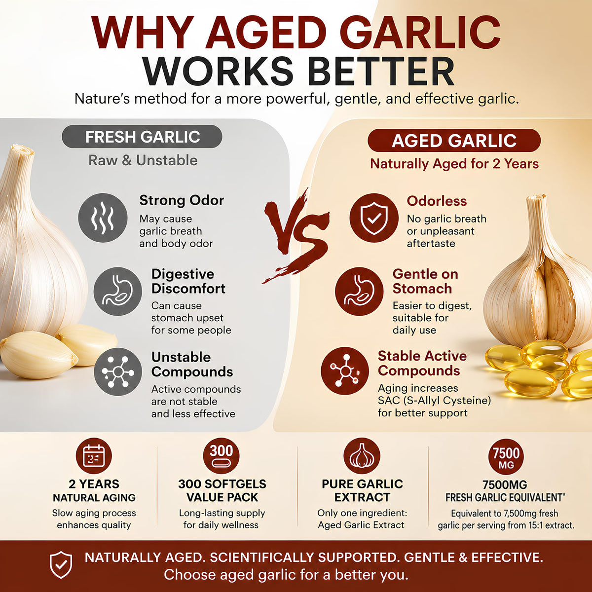 Odorless Aged Garlic Extract 300 Softgels G537