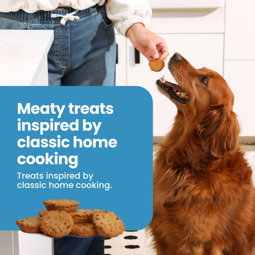 Chicken Dog Treats 16 oz C780