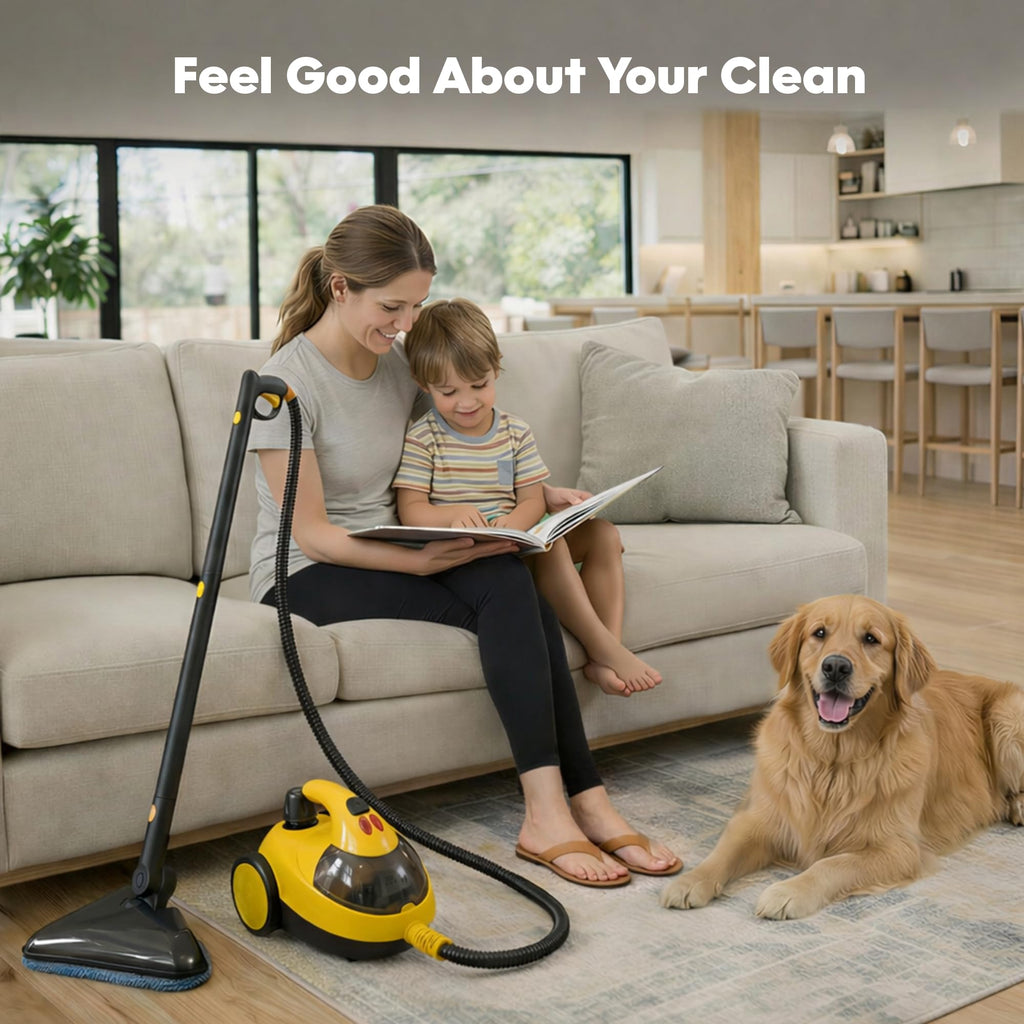 Heavy-Duty Steam Cleaner L275