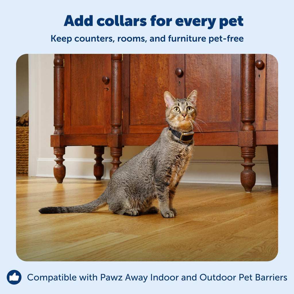 Indoor/Outdoor Receiver Collar for Cats and Dogs C260436