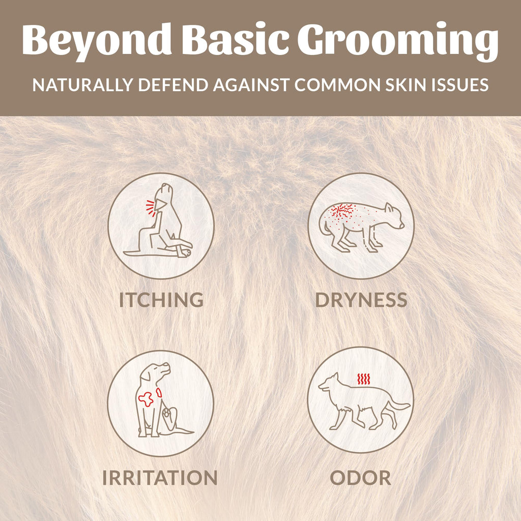 Probiotic Dog Shampoo and Conditioner 16 oz W695