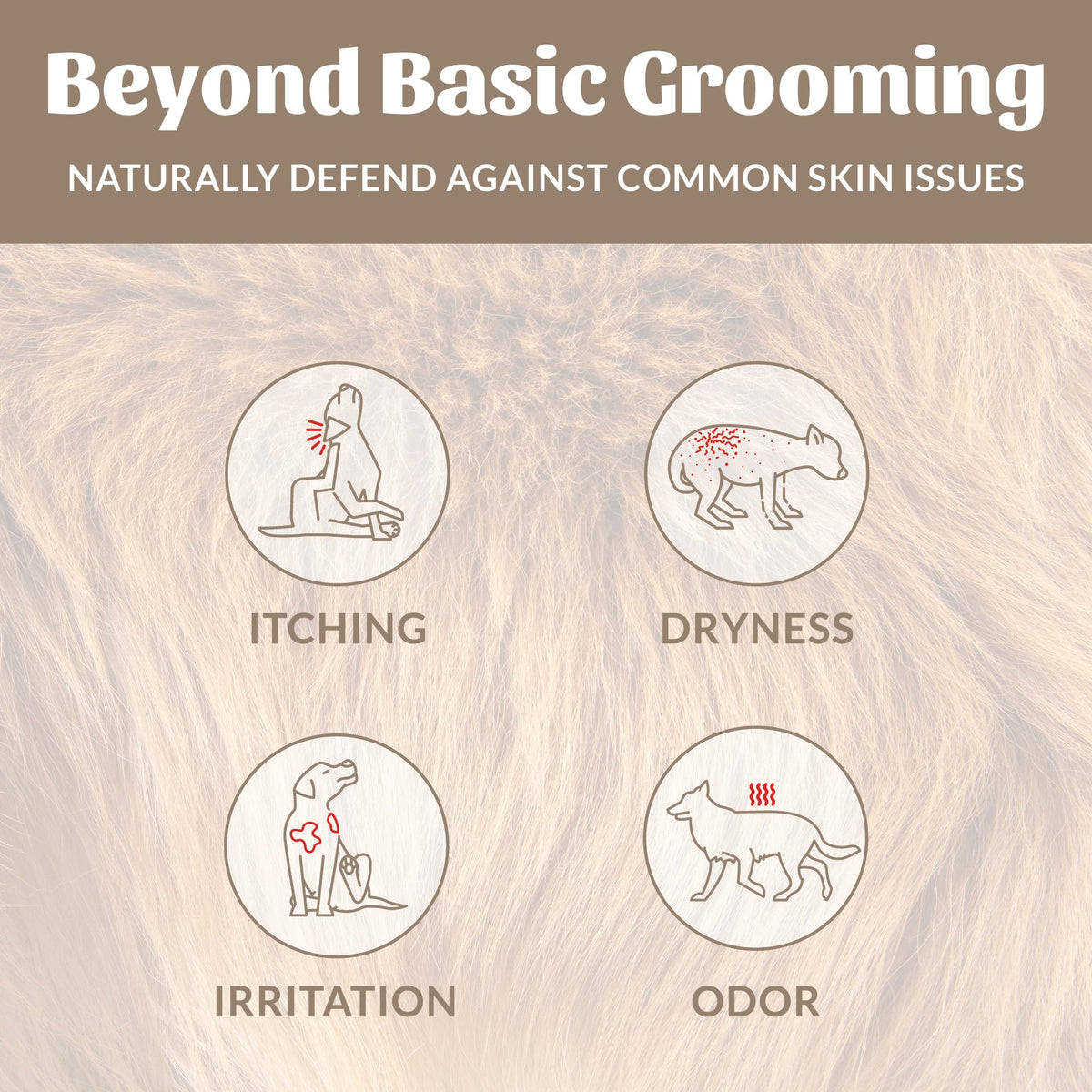 Probiotic Dog Shampoo and Conditioner 16 oz W695