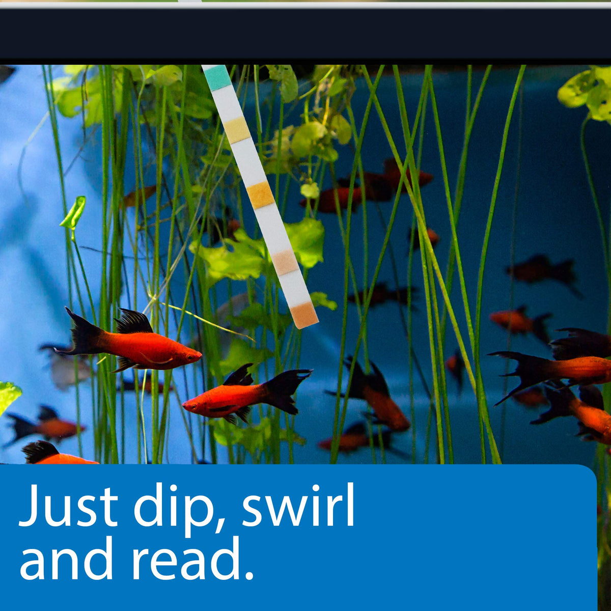 5-in-1 Aquarium Test Strips 4-Count T38721