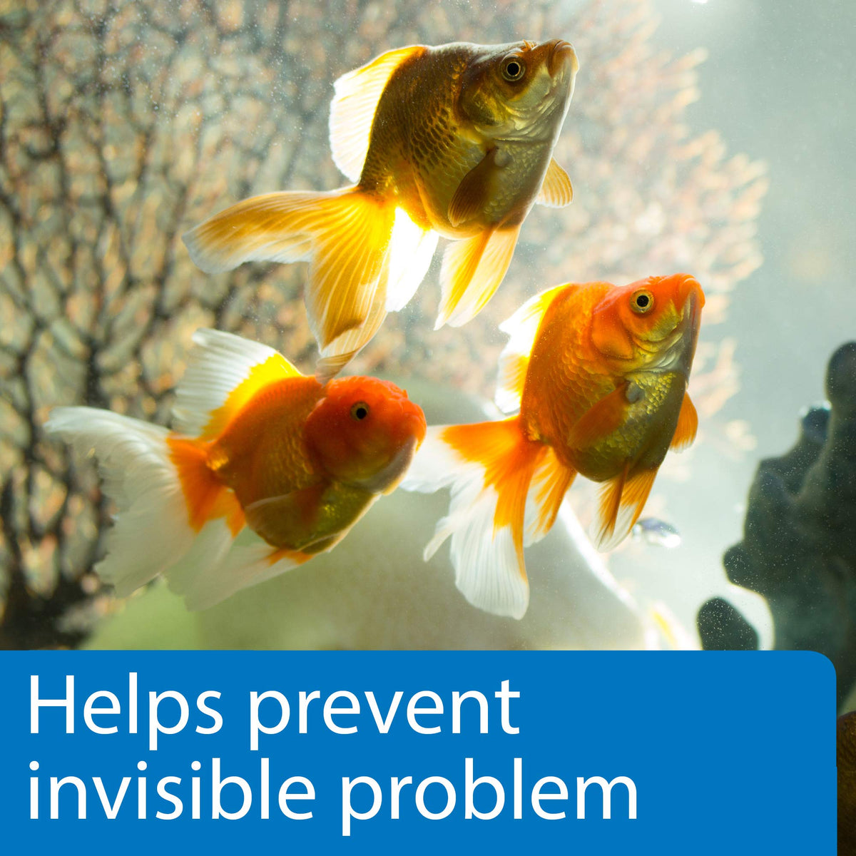 5-in-1 Aquarium Test Strips 4-Count T38721